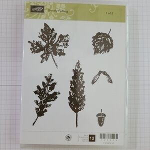Stampin' Up! - Gently Falling (Part 1) - LIKE NEW